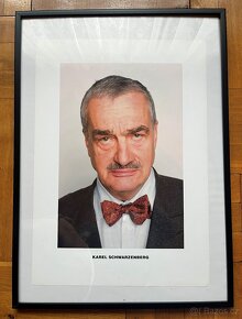 Karel Schwarzenberg - obrazy - 3