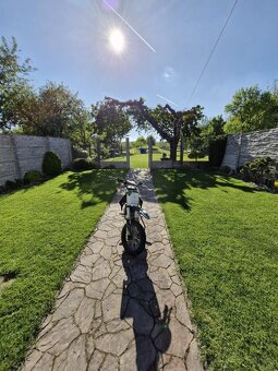 Pitbike Demon X DXR 125 – spolehlivý, udržovaný - 3