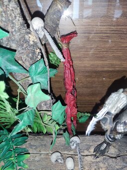 Sběratelské figurky Neca Predátor - 3