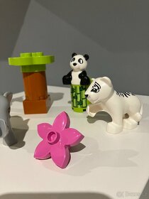 LEGO® DUPLO® 10904 Zvířecí mláďátka - 3