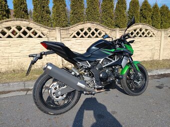 Kawasaki Z 125 - 3