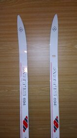 Běžky ARTIS 185 cm, hůlky 135 cm - 3