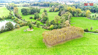Prodej lesa, 1461 m², Skřivany - 3