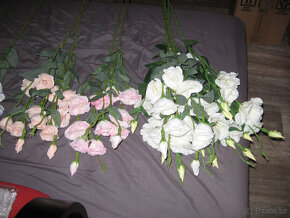 KYTICE 13-TI KS EUSTOMA V RUZNYCH BARVACH - NOVE - 3