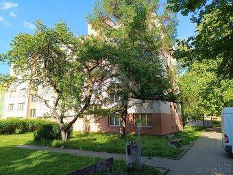 Byt 1+1, 39,3 m2, Puklicova ul., České Budějovice - 3