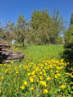 Prodej RD s velkou zahradou - 3