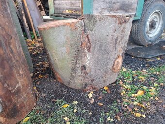 Špalek na štípáni dřeva - bukový - 3