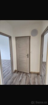 Pronájem bytu 2+1 Opava - 3