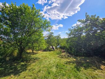 Prodám pozemek 3000 m2 se zahradní chatkou, Kudlovice - 3
