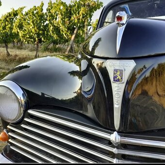 Predám Peugeot 203 - 3