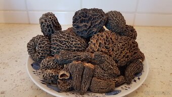 Sušené houby - smrž/smrže/Morel Mushrooms z Kanady - 3