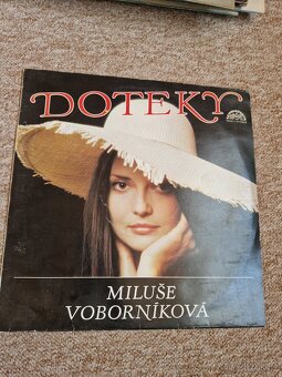 LP desky - 3