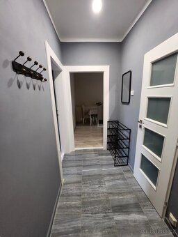 Pronájem 1+1 plně vybaven - 3