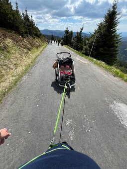 Qeridoo Kidgoo 2 (29.3.2023) - 3