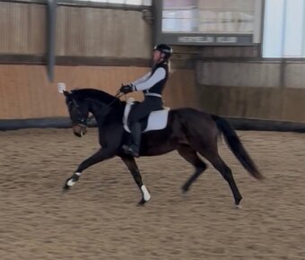 Drezurní klisna k prodeji - 3