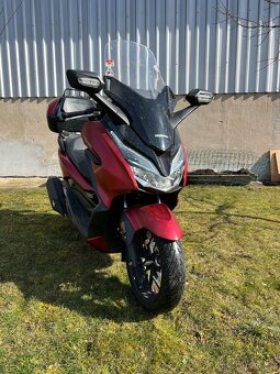 Honza Forza 125 - 3
