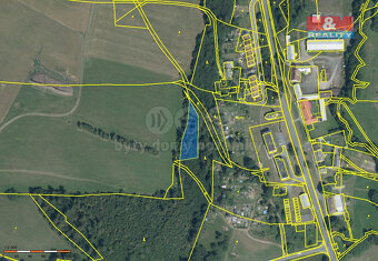 Prodej lesa, 3800 m², Břidličná - Vajglov - 3