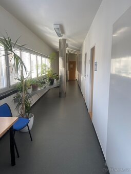 Pronájem komerčního prostoru Vsetín – centrum - 3