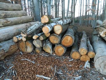 Palivové dřevo tvrdé - 3