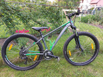Kolo Kellys Spider 10 - 3