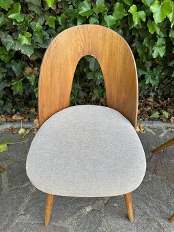 Designové židle A. ŠUMAN - BRUSEL - nové čalounění - 3