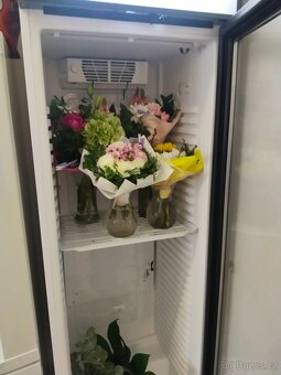 Prosklená lednice - 3