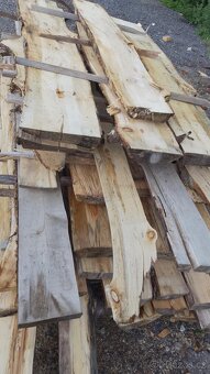 Odřezky dubu a olše - 3