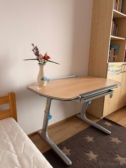 Stůl + židle Mayer - 3