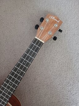 Sopránové Ukulele - 3