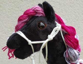 Hobby horse - 3