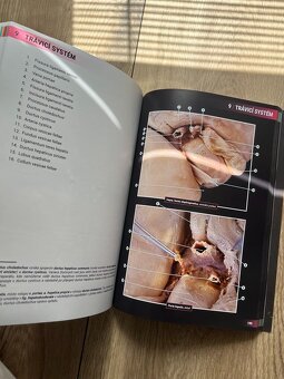 Atlas vybraných kapitol anatomie člověka - 3