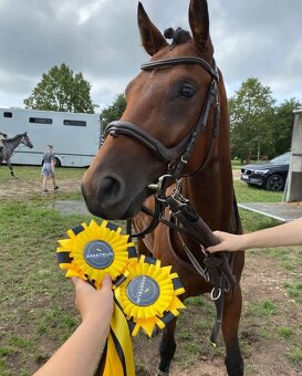 klisna pro dítě / amatéra - 3