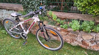 Dětské kolo Author Matrix 24" - 3