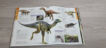 Prehistorie - obrazový průvodce vývojem života na zemi - 3