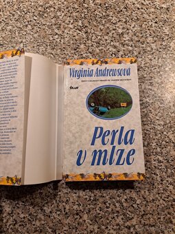 Virginia Cleo Andrews - série Landry II (všechny knihy) - 3