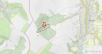 Prodej lesního pozemku k.ú. Nikolčice (2) - 3