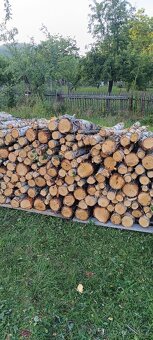 Palivové dřevo - 3