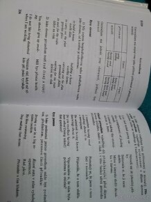 Mluvnice angličtiny - 3