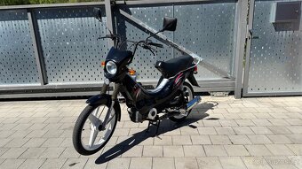 Manet Korado TX1 2003 - 3