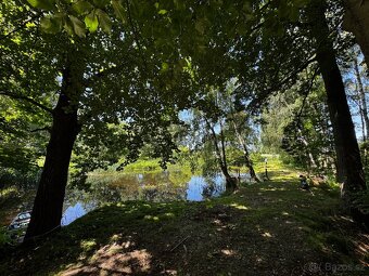 Prodej pozemku 6 262 m² s rybníkem – klid a příroda - 3