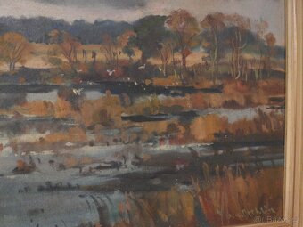 Obraz Rašeliniště sig. Karel Stehlík 1912- 1985 - 3