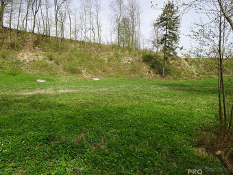 Prodej pozemku, Kvasiny - 3