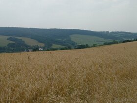 Pozemek Pitín pod plánovaným obchvatem - 3