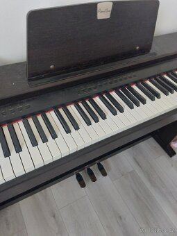 Elektrické piano nova - 3