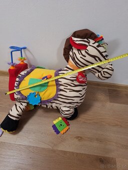 Zebra Ryan - 3