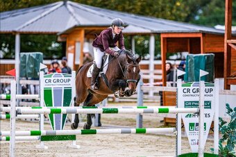 Hannoverský valach - 3