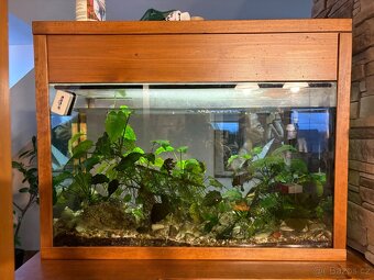 Akvárium s rámem - 3