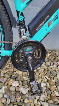 Leader Fox Venosa - 3