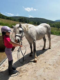 Predam sikovneho S pony - 3