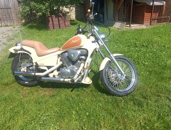 HONDA Shadw VT 600 C - 3